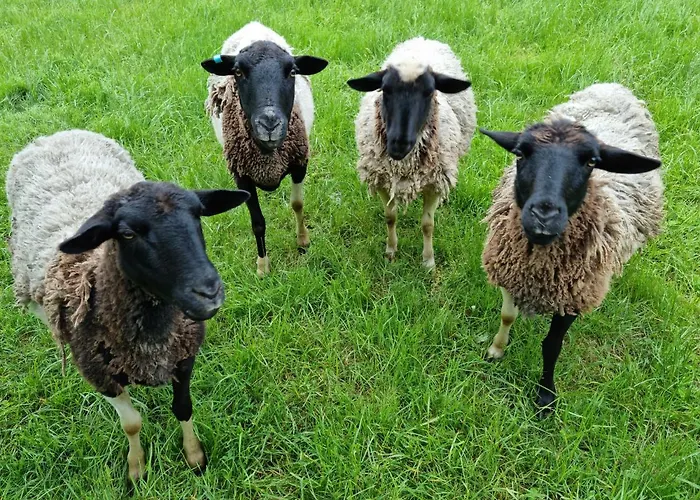 Wally\'S Edge 20Acre Farm Stay