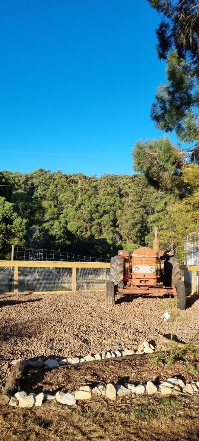 Farm stay Wally's Edge 20acre Farm